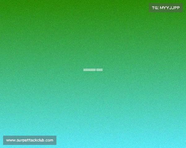 赛事活动发布平台 赛事展示